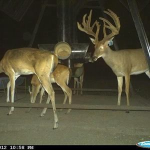 Meet your Posher, Greg